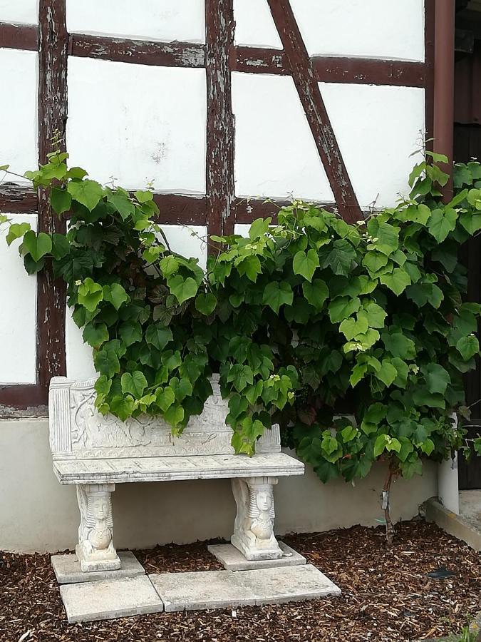 Bine Ferienhaus